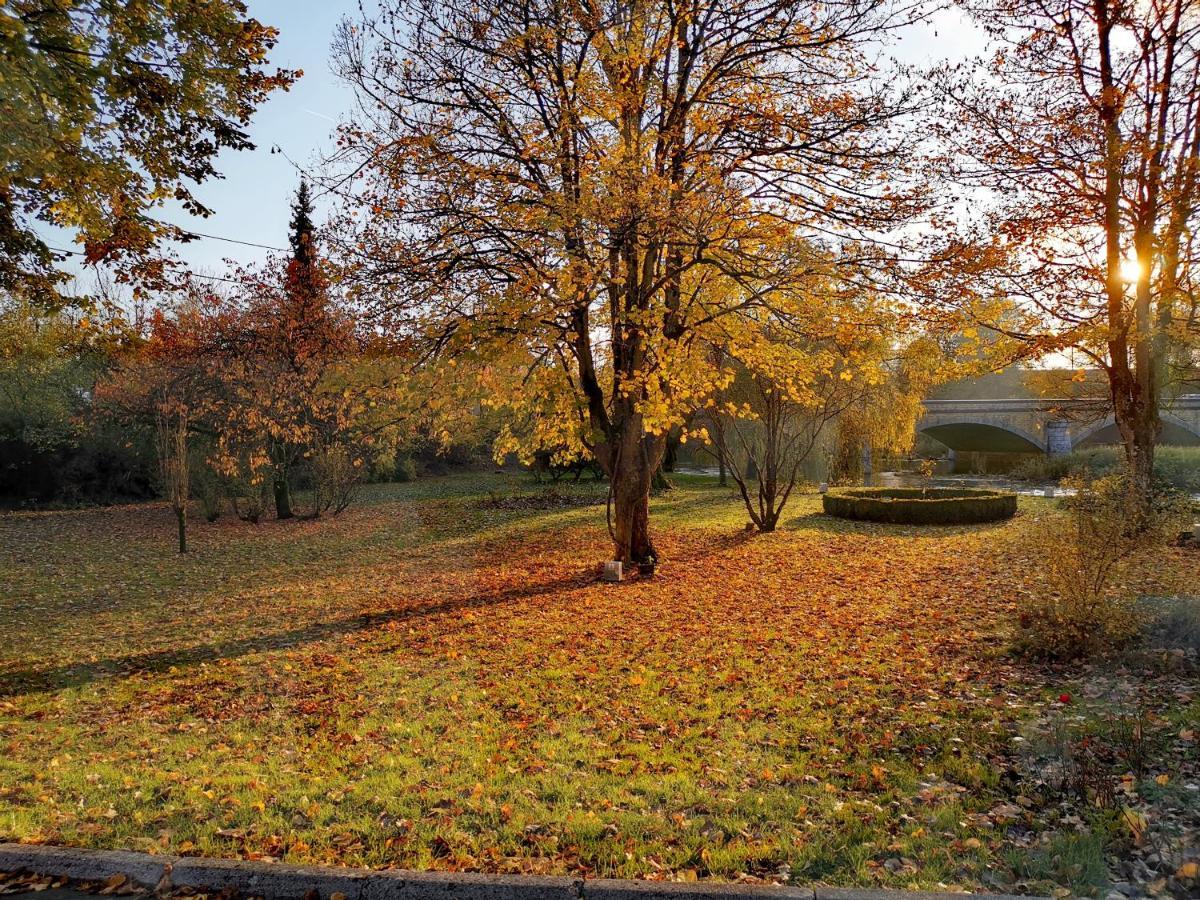 La Roseraie. Gaume-Ardenne-Lacuisine Sur Semois. Florenville Eksteriør bilde